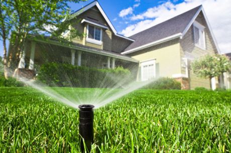 Community and sustainability, incentives